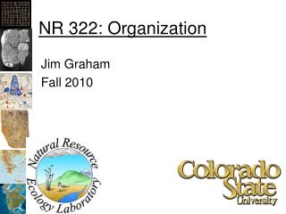 NR 322: Organization