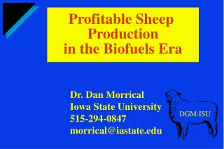 Profitable Sheep Production in the Biofuels Era
