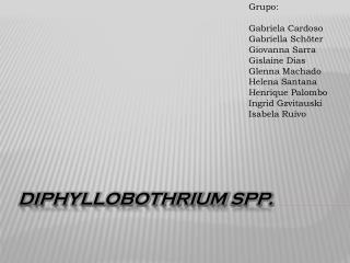 Diphyllobothrium spp .