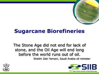 Sugarcane Biorefineries