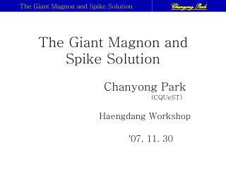 The Giant Magnon and Spike Solution