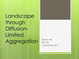 Landscape through Diffusion- Limited Aggregation