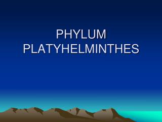 PHYLUM PLATYHELMINTHES