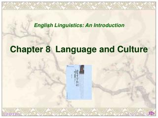 Chapter 8 Language and Culture