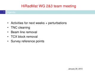HiRadMat WG 2&amp;3 team meeting