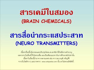 สารเคมีในสมอง (BRAIN CHEMICALS) สารสื่อนำกระแสประสาท (NEURO TRANSMITTERS)
