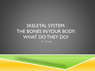 Skeletal System: The bones in your body: what do they do?