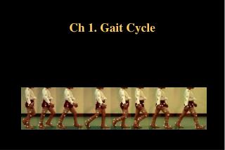 Ch 1. Gait Cycle