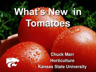 What’s New in Tomatoes