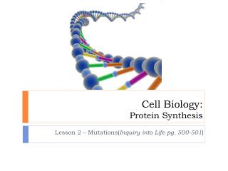 Cell Biology: Protein Synthesis