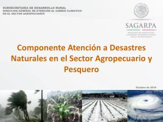 SUBSECRETARÍA DE DESARROLLO RURAL DIRECCION GENERAL DE ATENCION AL CAMBIO CLIMATICO
