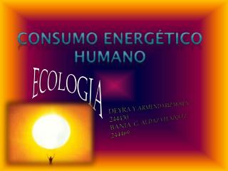 Consumo energético humano