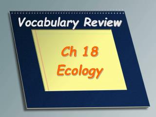 Vocabulary Review