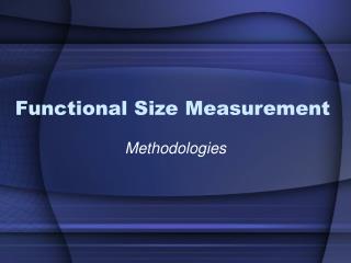 Functional Size Measurement