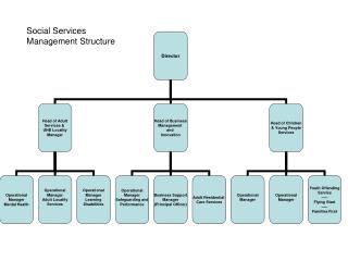 Social Services Management Structure