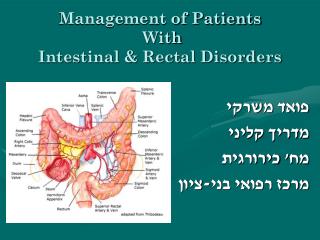 Management of Patients With Intestinal &amp; Rectal Disorders