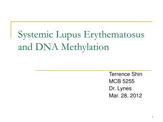Systemic Lupus Erythematosus and DNA Methylation