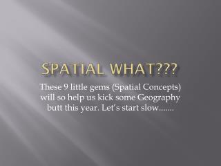 SPATIAL WHAT???