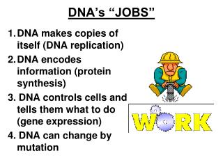 DNA’s “JOBS”