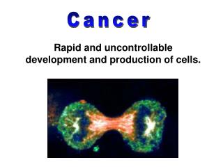 Rapid and uncontrollable development and production of cells.