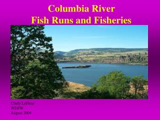 Columbia River Fish Runs and Fisheries