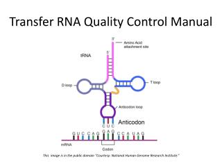 Transfer RNA Quality Control Manual