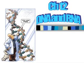 Ch 12 DNA and RNA
