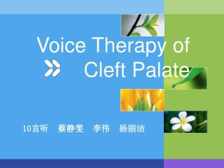 Voice Therapy of Cleft Palate