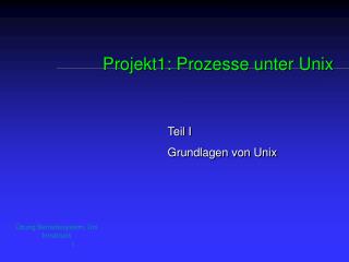 Projekt1: Prozesse unter Unix