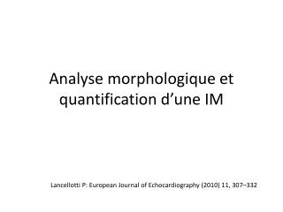 Analyse morphologique et quantification d ’ une IM