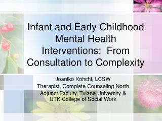 Infant and Early Childhood Mental Health Interventions: From Consultation to Complexity