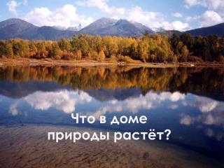 Что в доме природы растёт?