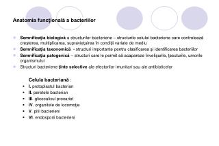 Anatomia funcţională a bacteriilor