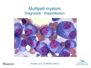 Multipelt myelom Diagnostik Klassifikation