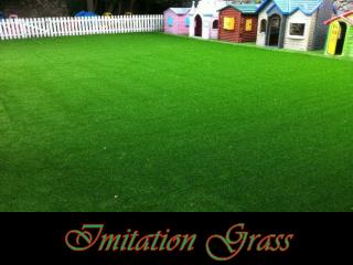 Imitation Grass
