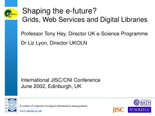 Shaping the e-future? Grids, Web Services and Digital Libraries