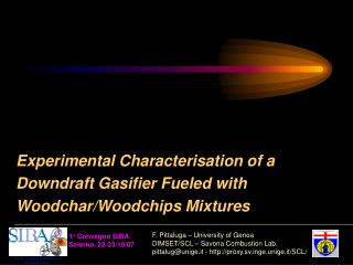 Experimental Characterisation of a Downdraft Gasifier Fueled with Woodchar/Woodchips Mixtures