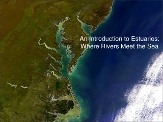 An Introduction to Estuaries