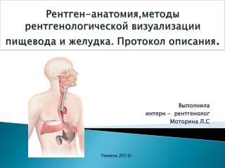 Рентген-анатомия,методы рентгенологической визуализации пищевода и желудка. Протокол описания .