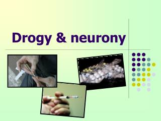 Drogy &amp; neurony