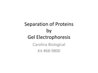 Separation of Proteins by Gel Electrophoresis