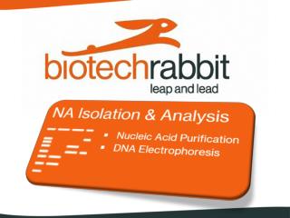Che cosa offre biotech rabbit ?