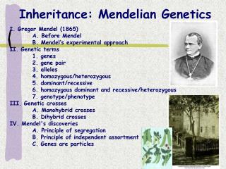 Inheritance: Mendelian Genetics