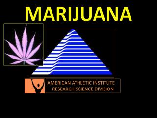 AMERICAN ATHLETIC INSTITUTE RESEARCH SCIENCE DIVISION