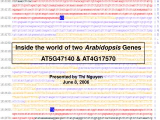 Inside the world of two Arabidopsis Genes AT5G47140 & AT4G17570