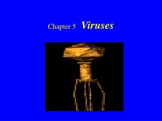 Chapter 5 Viruses