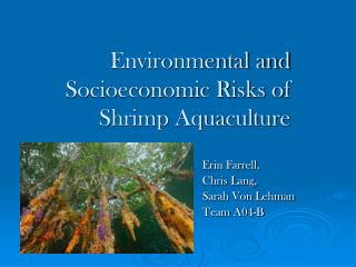 Environmental and Socioeconomic Risks of Shrimp Aquaculture