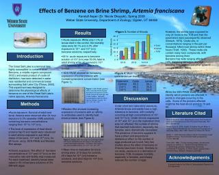 Effects of Benzene on Brine Shrimp, Artemia franciscana