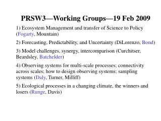 PRSW3—Working Groups—19 Feb 2009