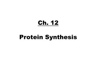 Ch. 12 P rotein S ynthesis